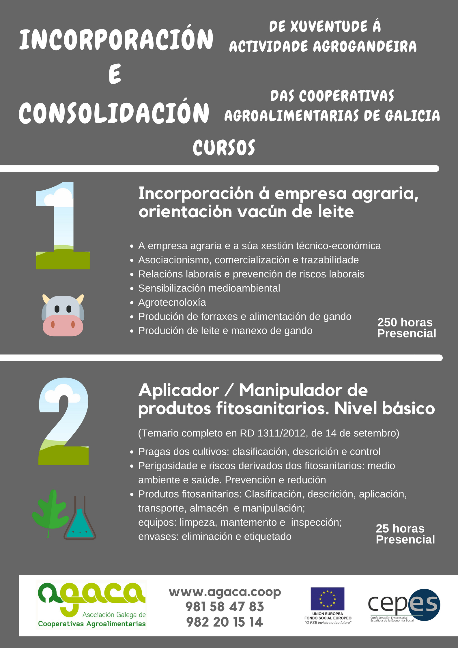 INCOR-CONSO-BIG-cepes